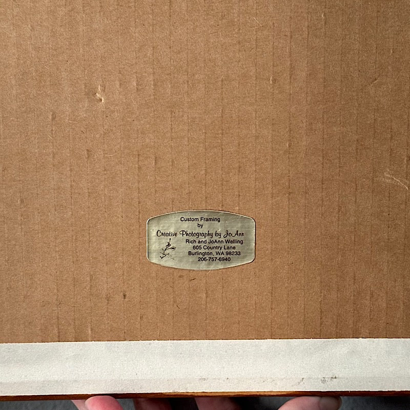 Vintage Les Modes Parisiennes Colored Etching in a Wood Frame