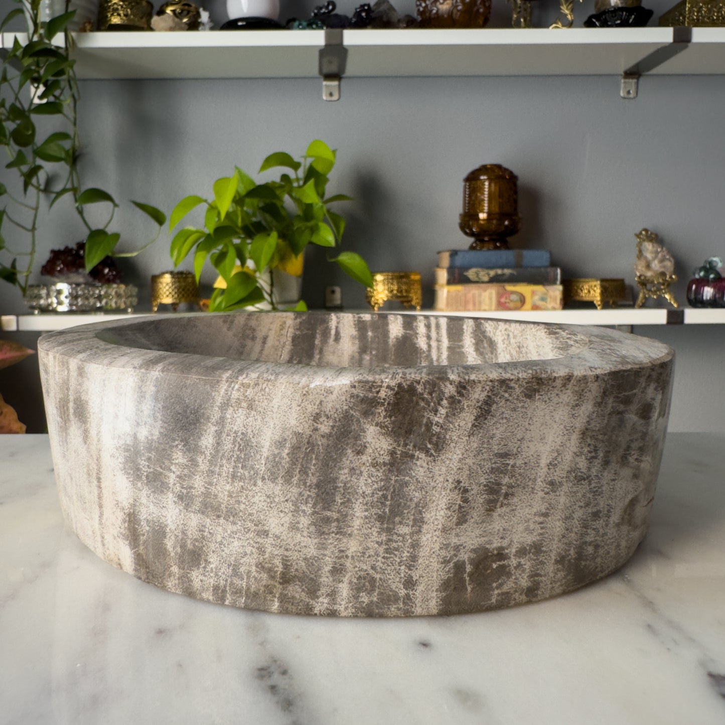 Petrified Wood Bowl | 002