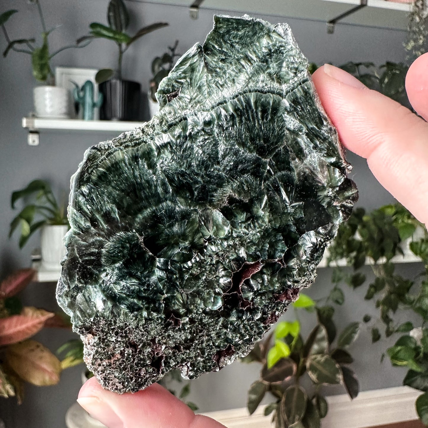 Seraphinite | 009