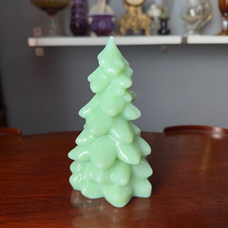 Mosser Medium Jade Tree