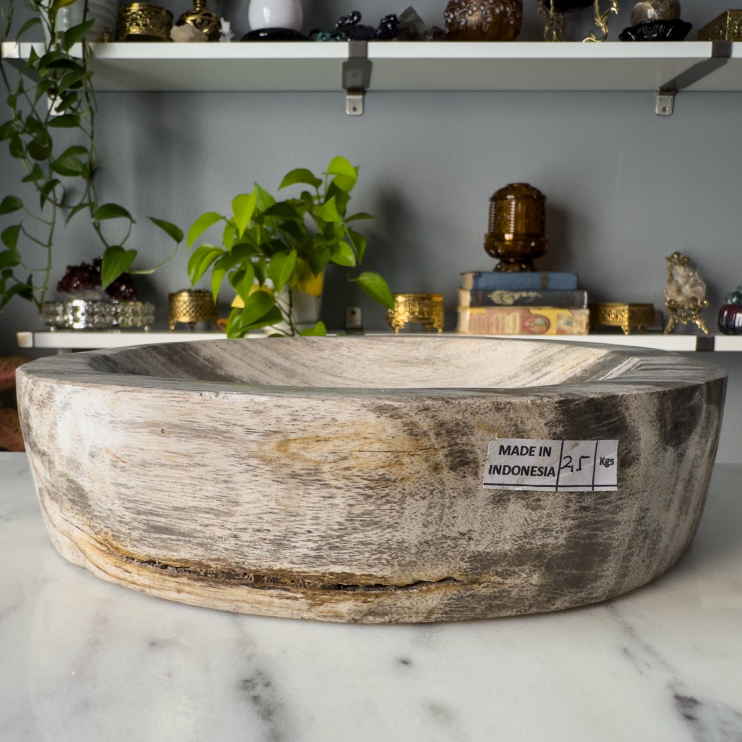 Petrified Wood Bowl | 002