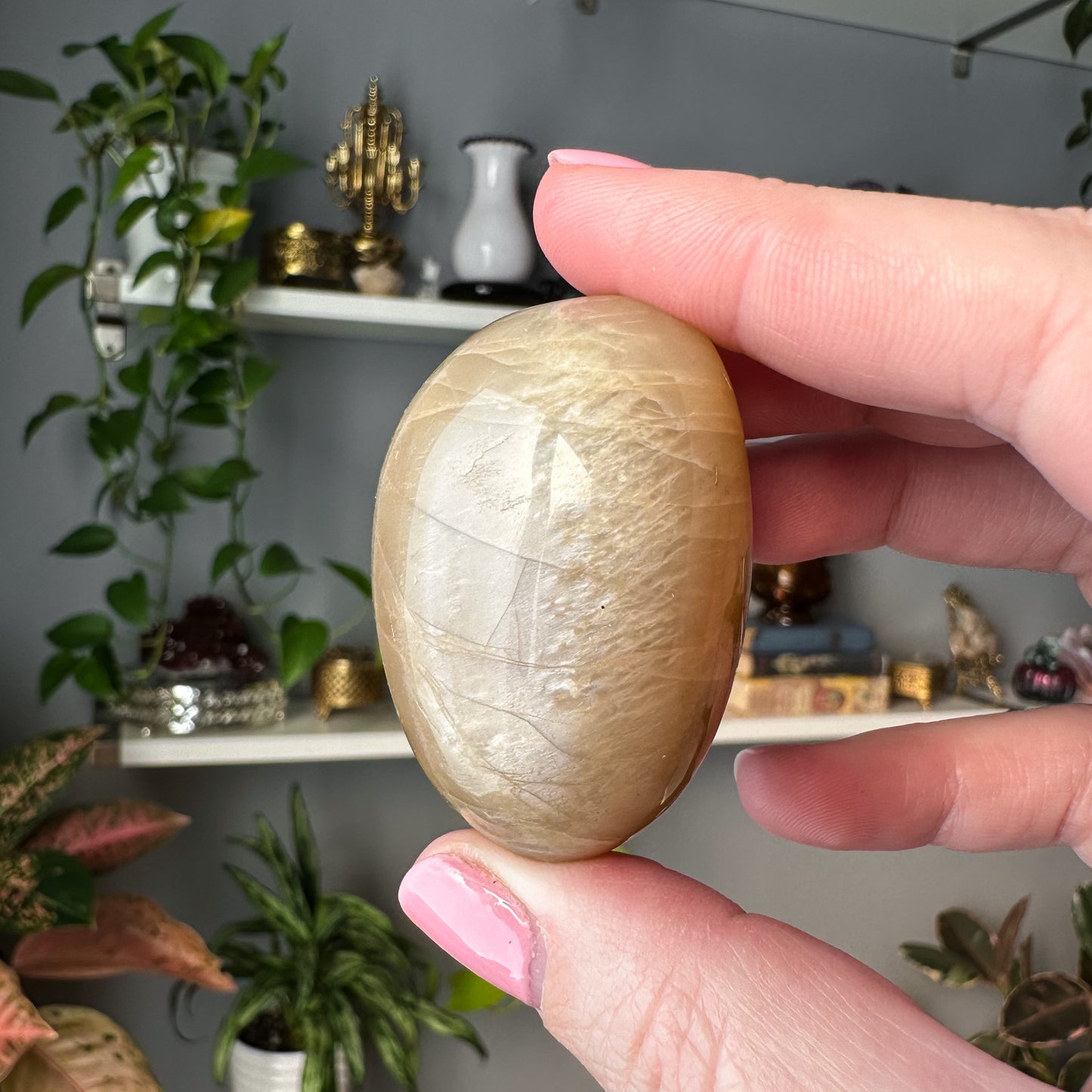 Peach Moonstone Palm Stone | 004