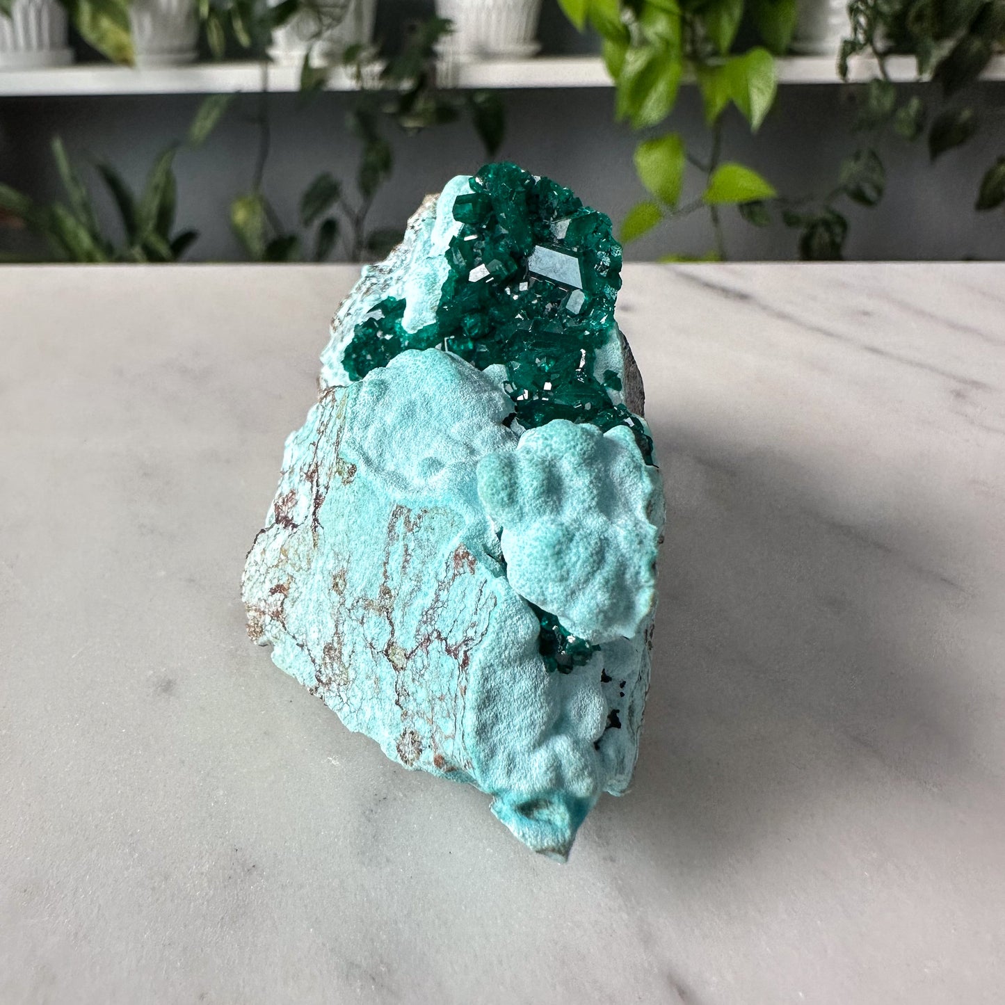 Dioptase + Chrysocolla | 003