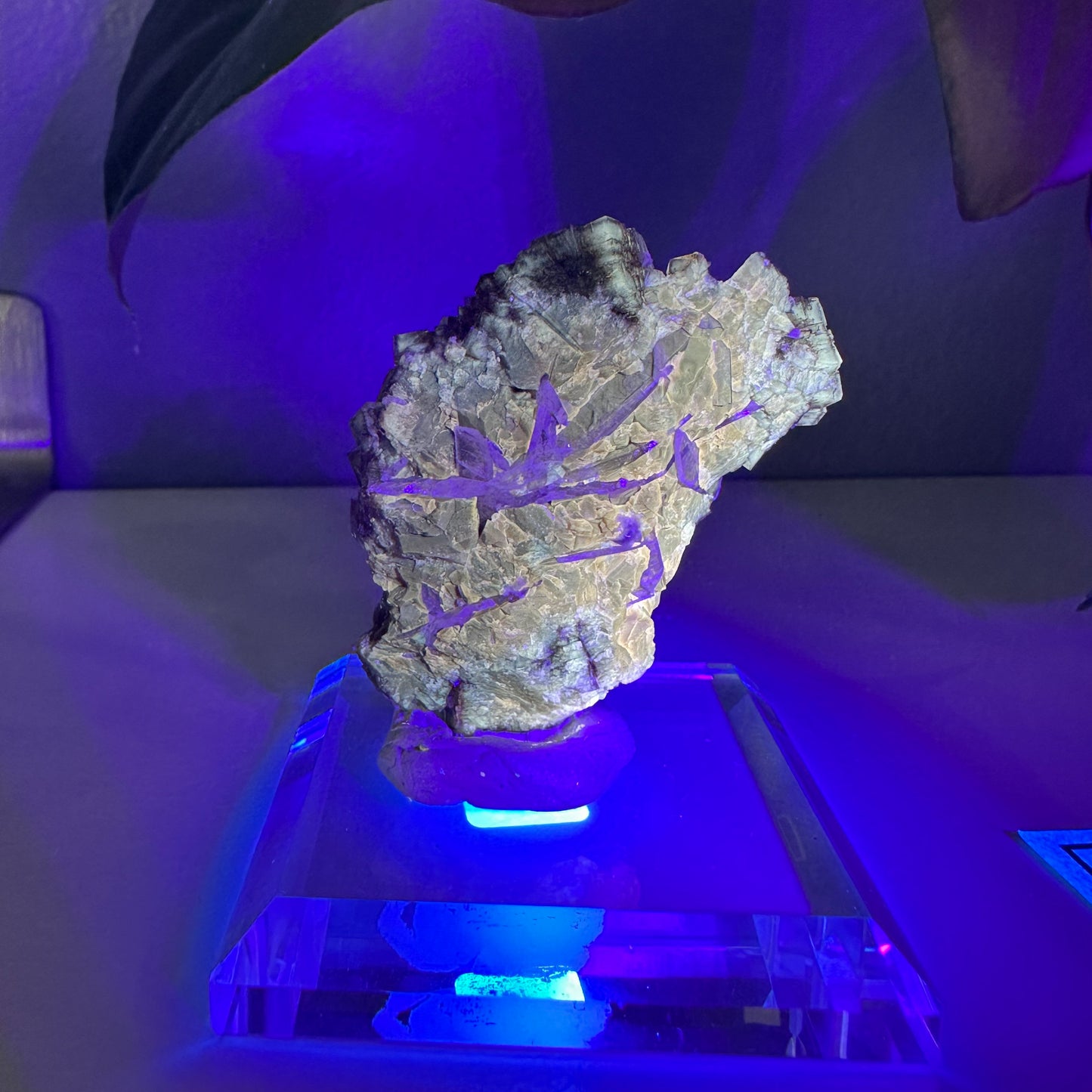 UV Reactive Fluorite with Celestite