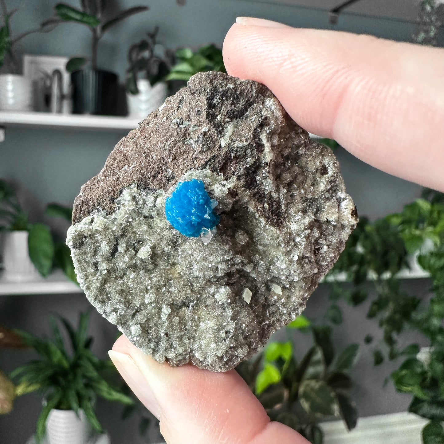 Cavansite | 010