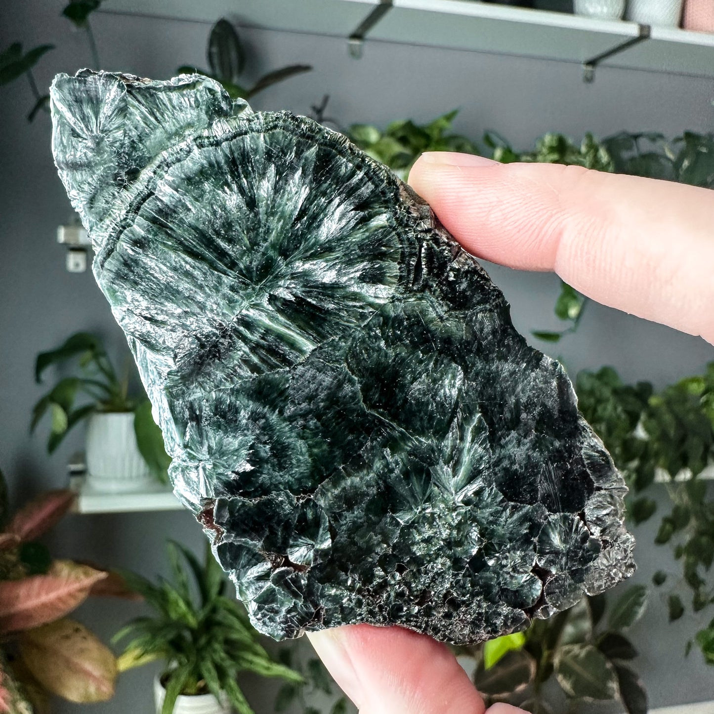 Seraphinite | 001