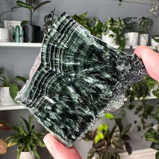 Seraphinite | 010