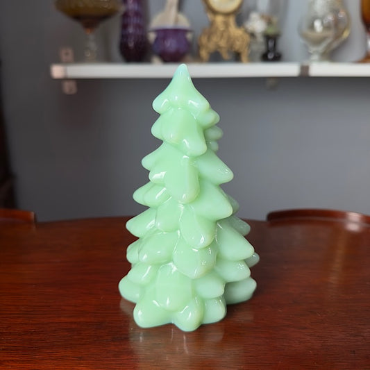 Mosser Medium Jade Tree