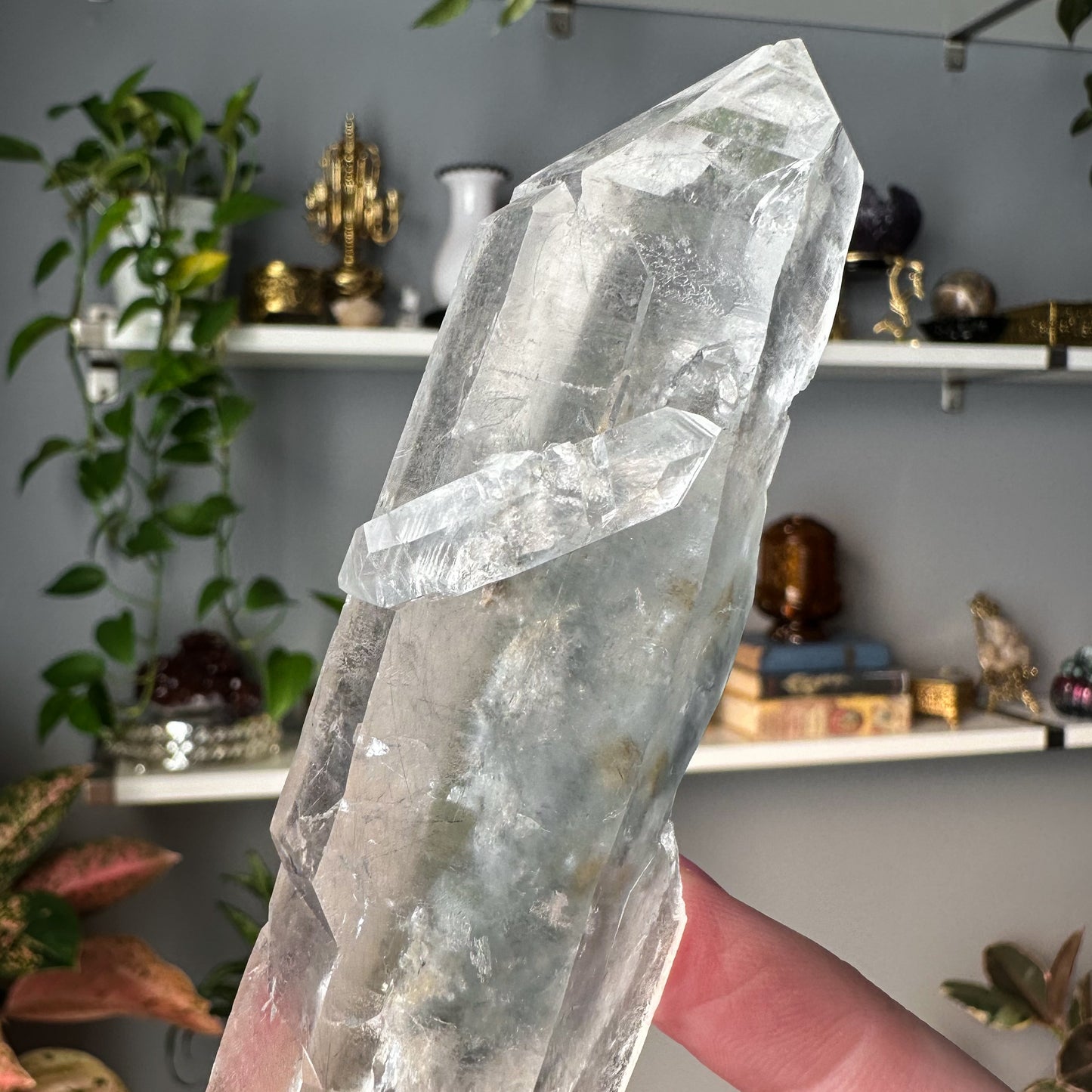 Double Terminated Blue Tara Quartz | 001