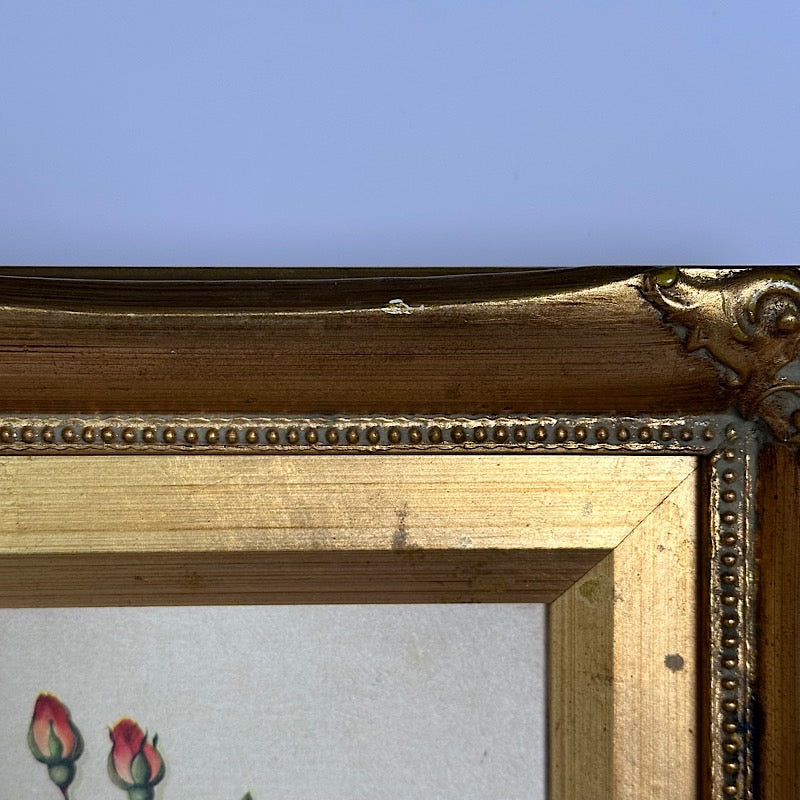 Vintage Art Print in Ornate Gold Frame