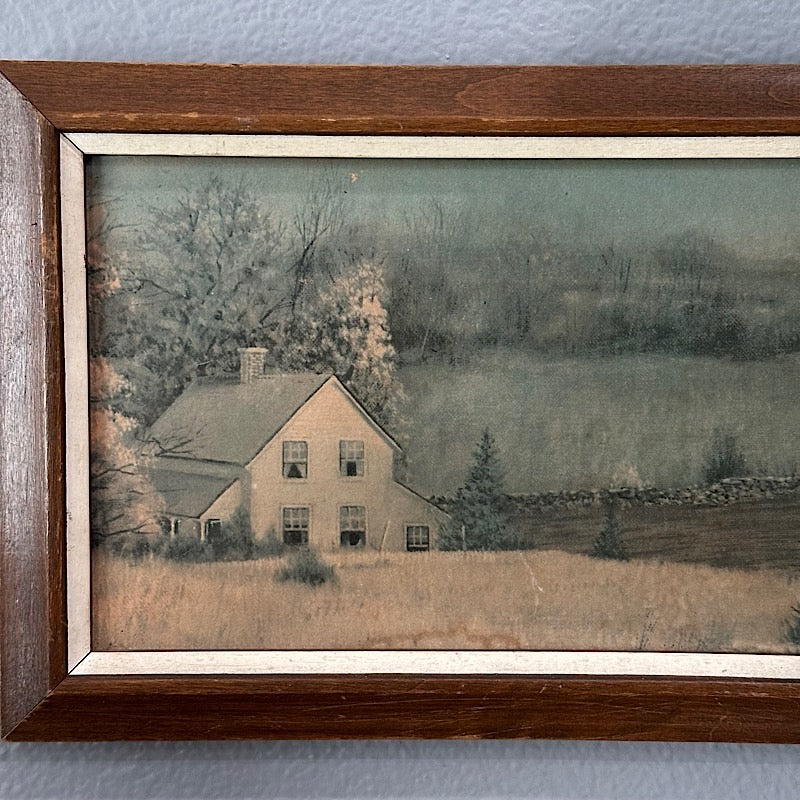 Vintage Moody Print in a Wood Frame