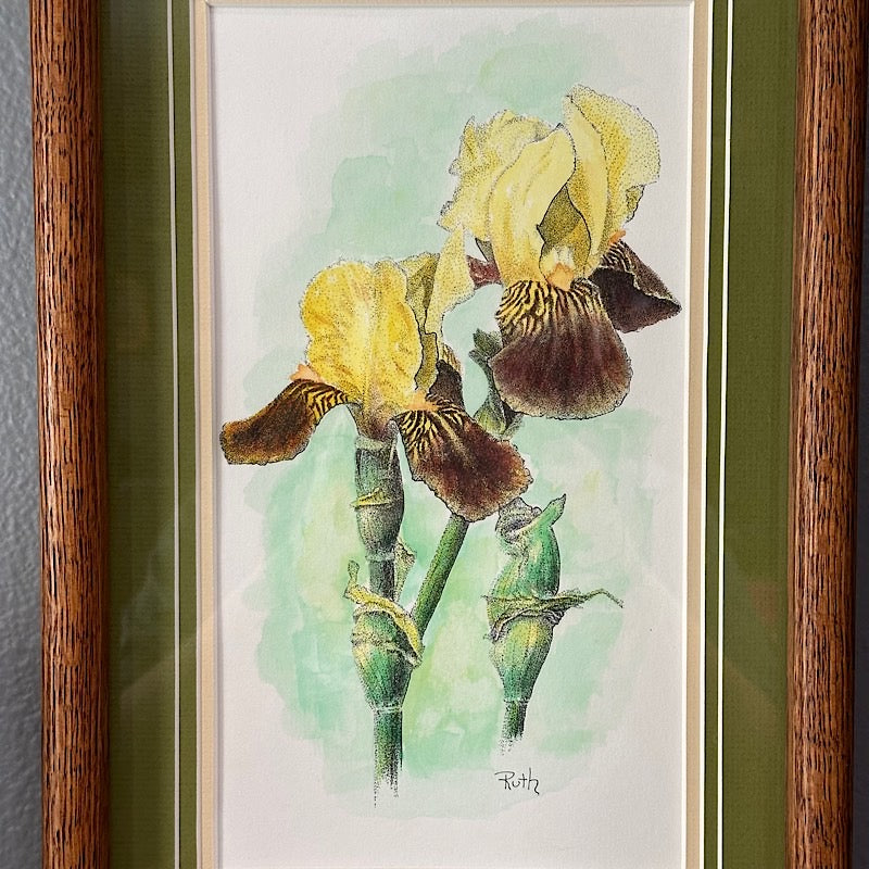 Vintage Yellow Iris Art in a Wood Frame - Signed