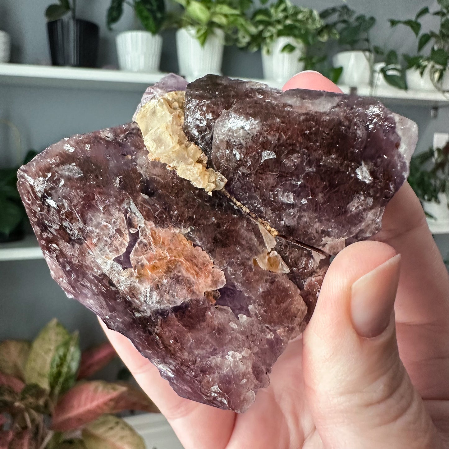 Thunder Bay Amethyst | 015