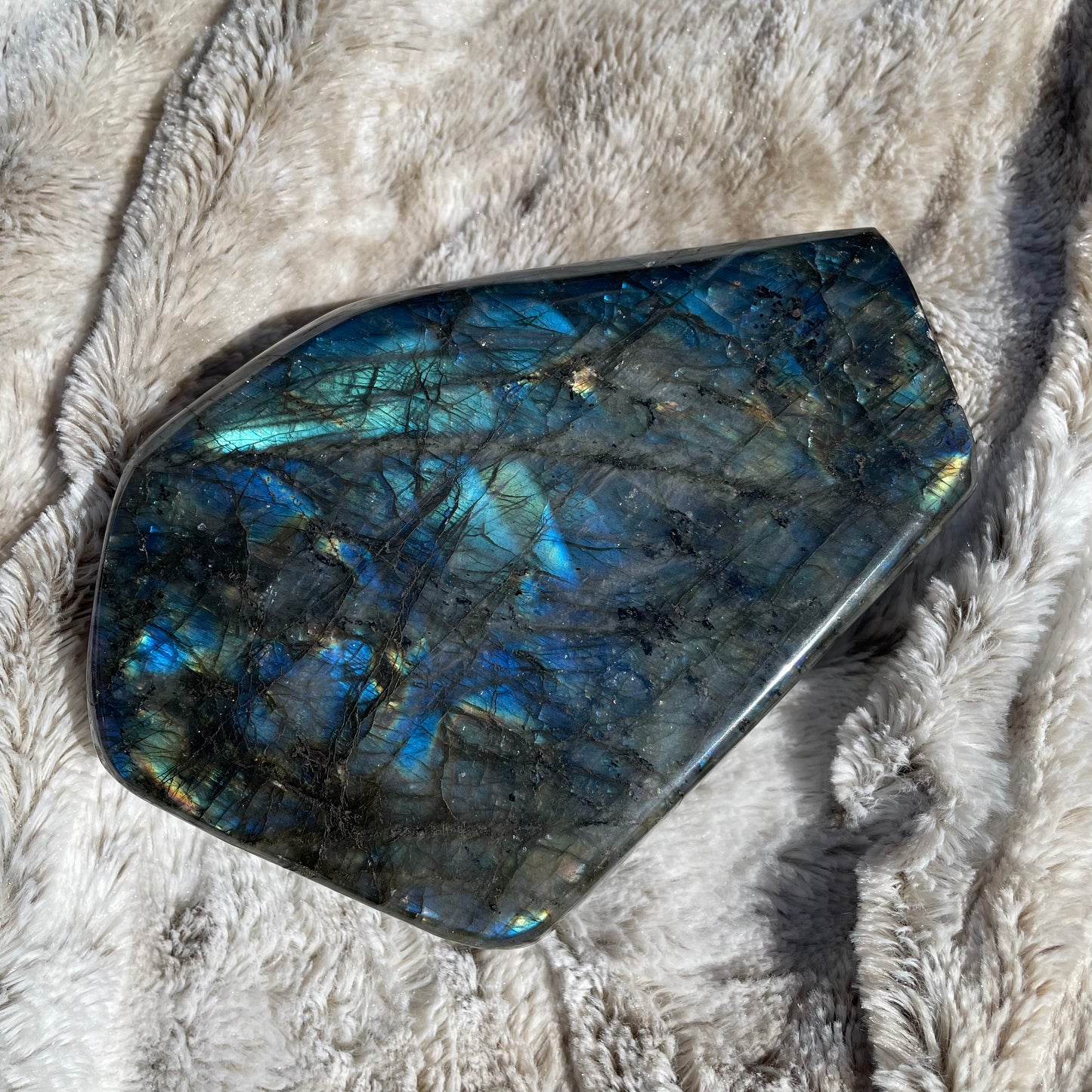 Large Labradorite Freeform