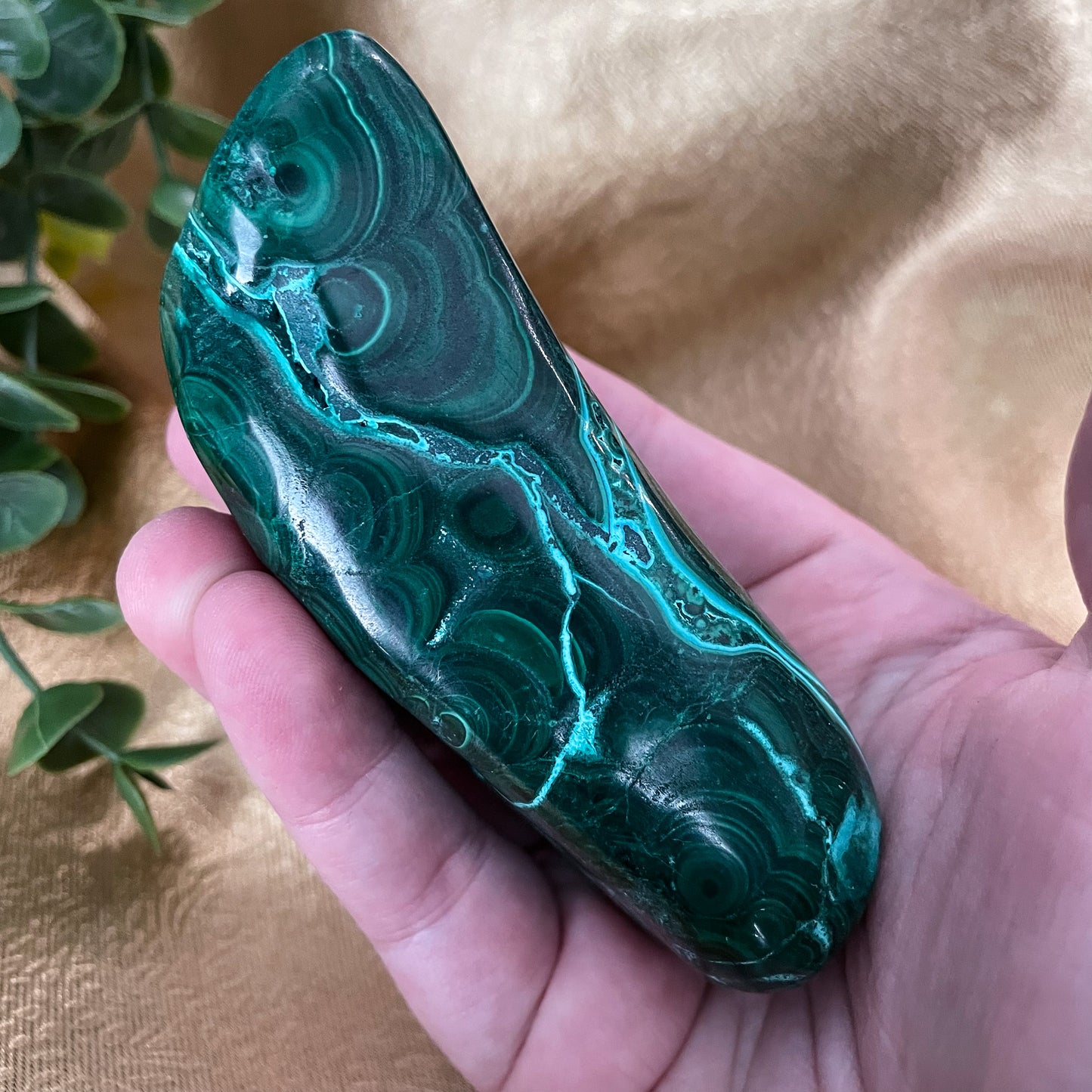 Malachite with Chrysocolla Freeform