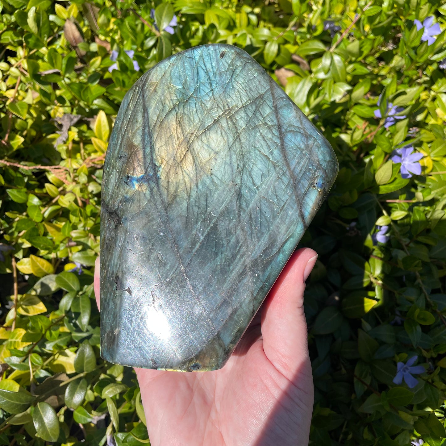 Large Labradorite Freeform