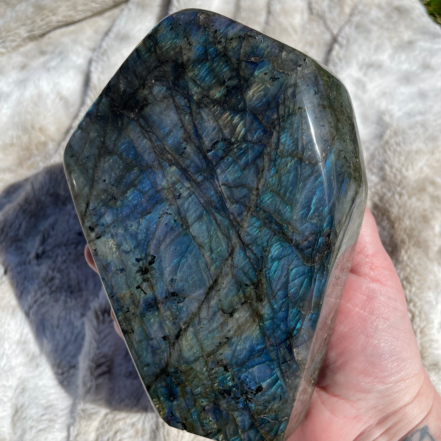 Large Labradorite Freeform