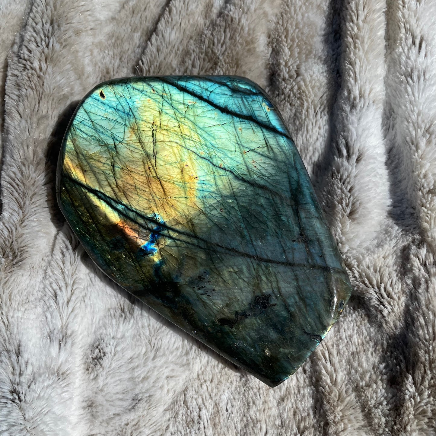 Large Labradorite Freeform