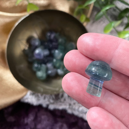 Rainbow Fluorite Mini Mushroom