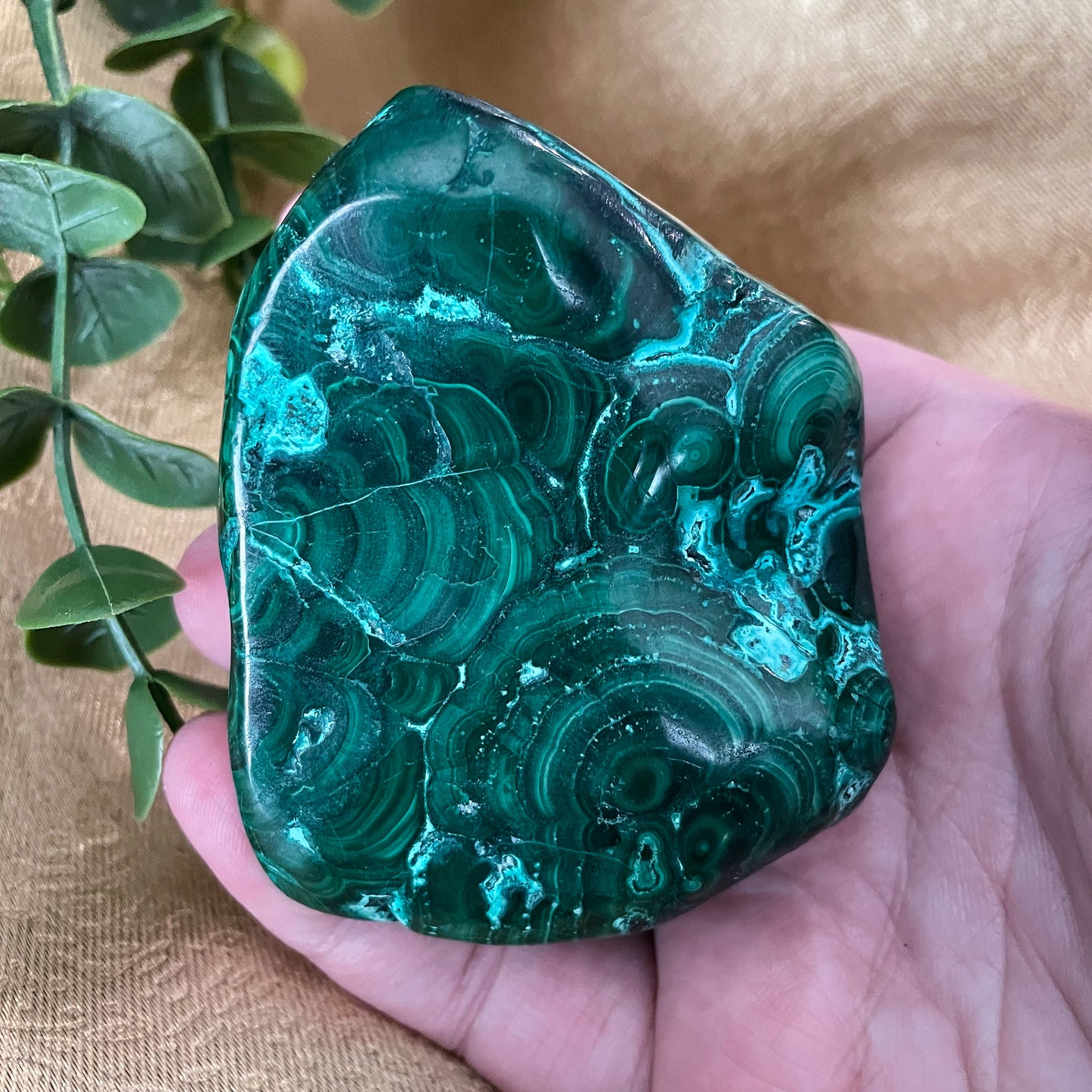 Malachite with Chrysocolla Freeform