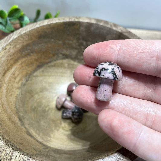 Rhodonite Mini Mushroom