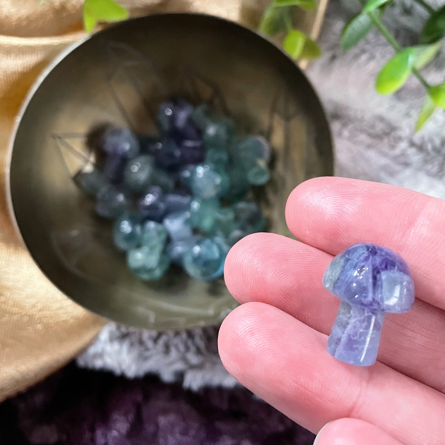 Rainbow Fluorite Mini Mushroom