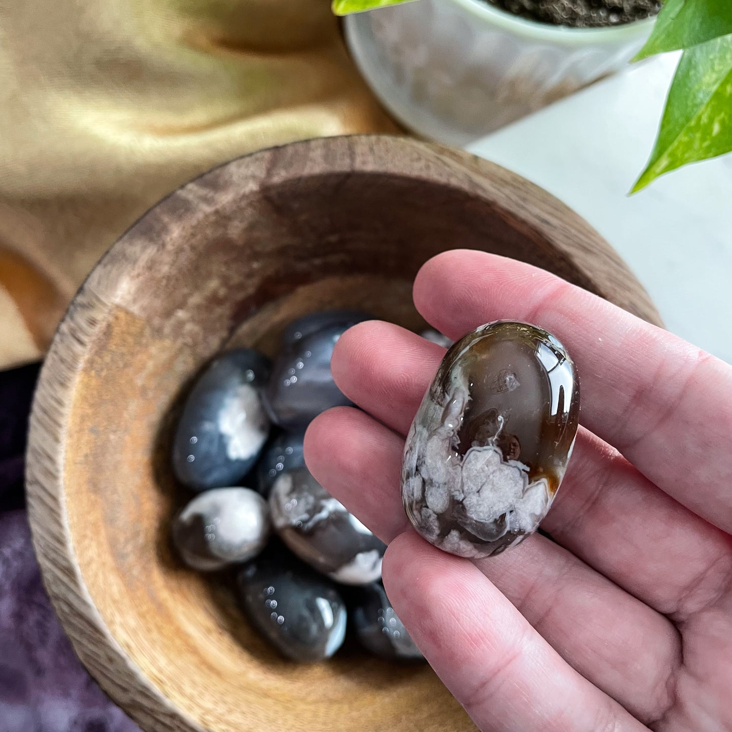 Black Flower Agate Shiva