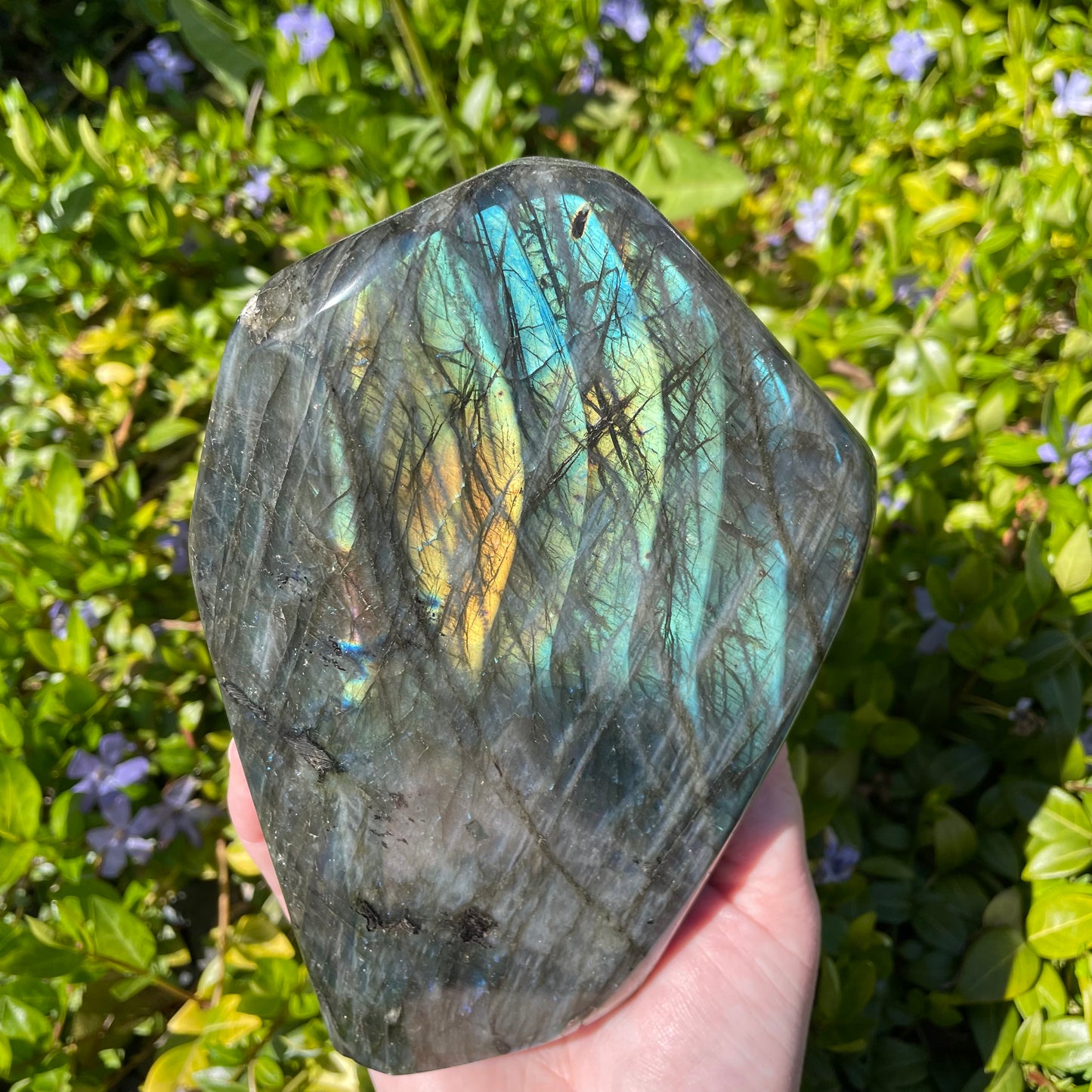 Large Labradorite Freeform